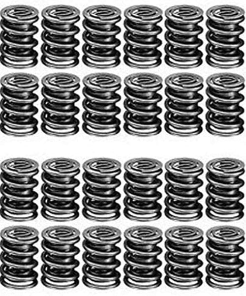 22130-24 Manley Valve Spring, 24 Piece