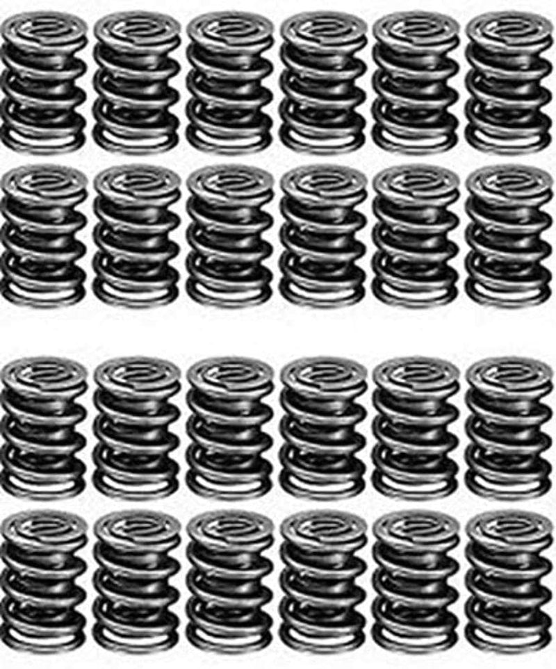 22130-24 Manley Valve Spring, 24 Piece