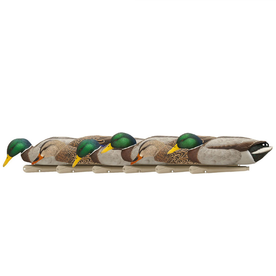 Avian X Backwater Mallards Topflight Duck Decoys Pack, Ultra Realistic Floating Mallard Hunting Decoy, 3 Feeding Postures, Multicolor, 6 Pack