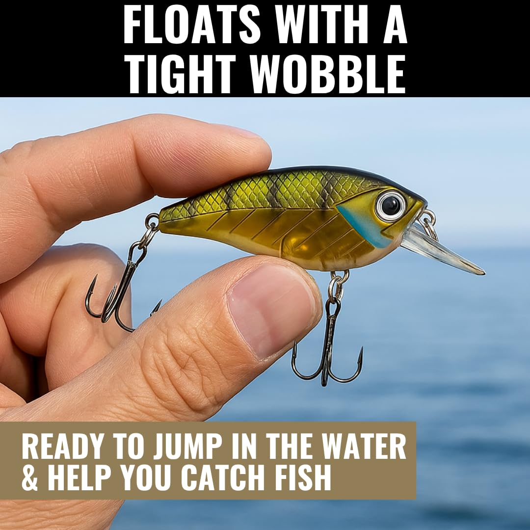 Impact Jolt Lunkerhunt | Crankbait, Deep Diving Hard Bait Fishing Lure | Flat Sided Square Bill, Clear Water, Fresh Water Lure for Bass Fishing, Trout and Spike, Crappie