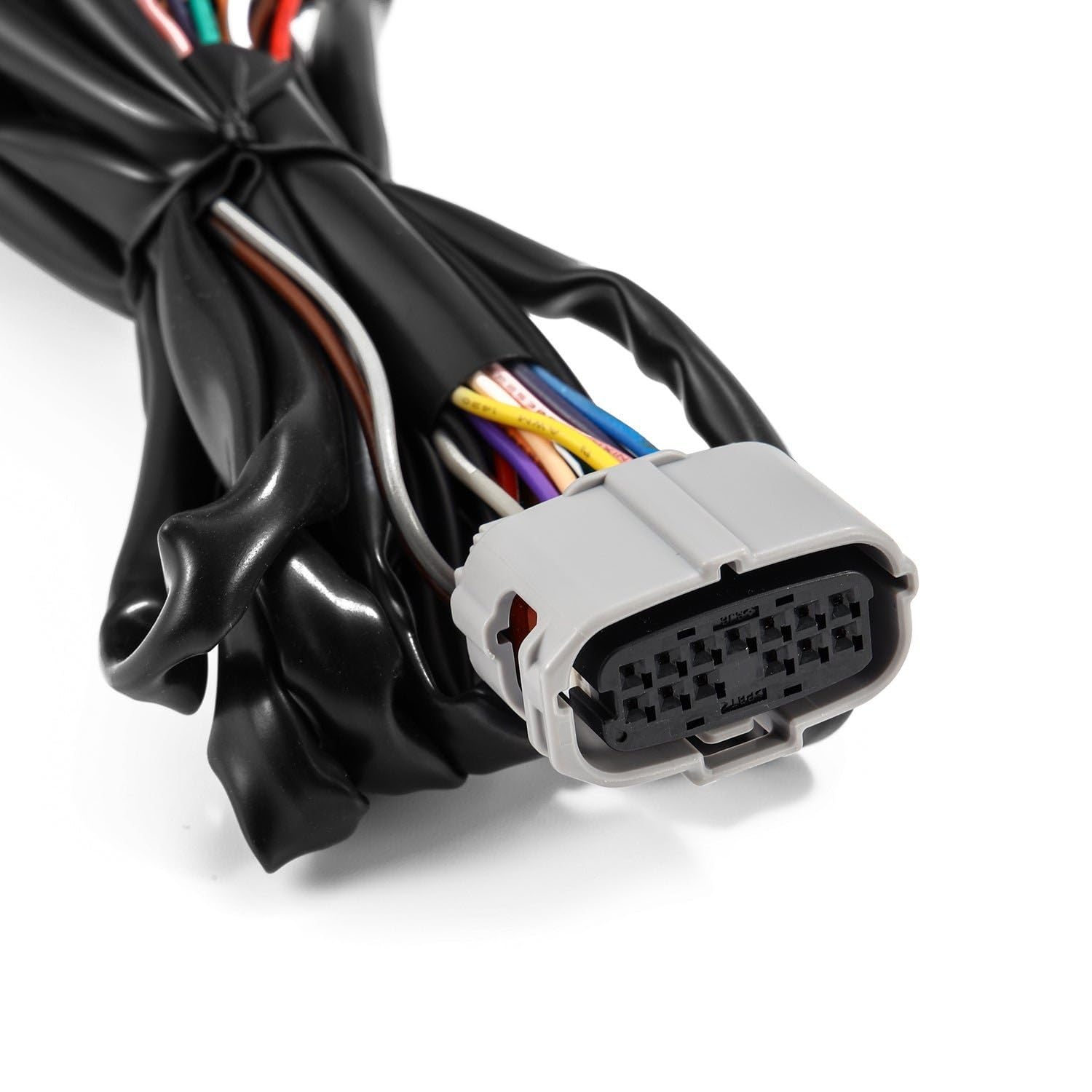 810029 Alpharex