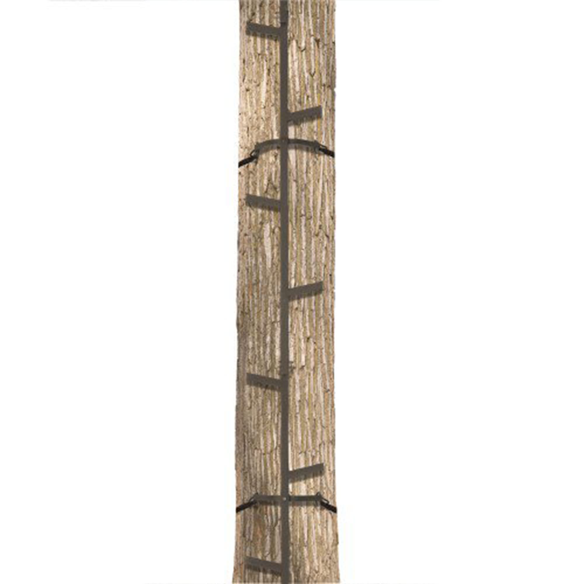 Big Game Climbing Ladder Sticks, Quick-Stick Tree Stand and Hunting Gear System, 20’ - Portable Safety Accessories and Equipment for Mobile Deer Hunters, Climbers, and Shooters