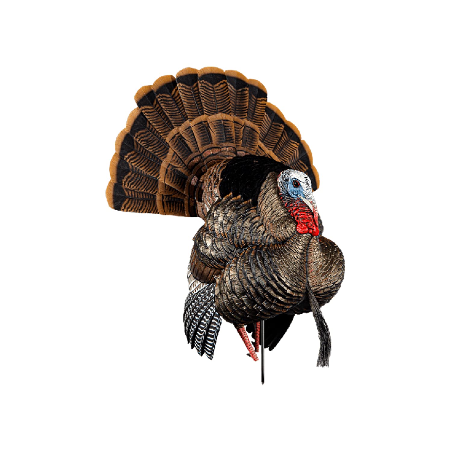 HDR Turkey Decoy Avian-X HDR Strutter