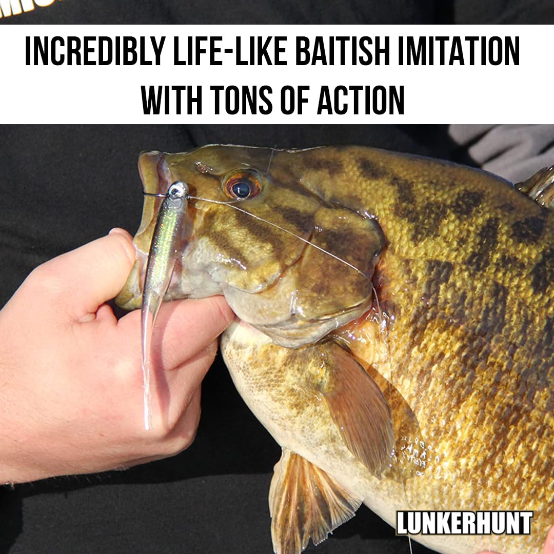 Bento Bait Lunkerhunt Fishing Lure (6 Pieces)| Each 3-Inch, Dace Color | Life-Like Saltwater and Freshwater Fish Baits, Award Winning, Soft Body for Bass Trout Fishing