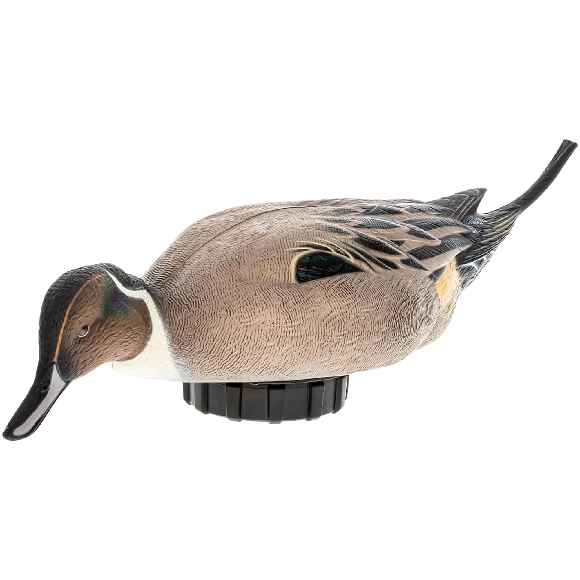 Avian-X Power Shaker Motion Pintail Duck Decoy Floating Surface Feeder for Hunting with Shaker Module Foam Filled Body, Multicolor