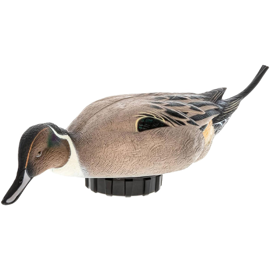 Avian-X Power Shaker Motion Pintail Duck Decoy Floating Surface Feeder for Hunting with Shaker Module Foam Filled Body, Multicolor