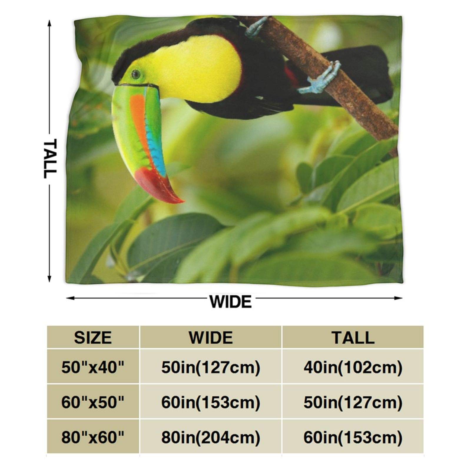 Custom Personalized Throw Blanket,Keel Billed Toucan Ramphastos Sulfuratus Bird Big Bill Sitting Branch In The Forest Boca Tapada Green,Soft Comfortable Plush Blanket for Sofa Bedroom Travel 50"X60"