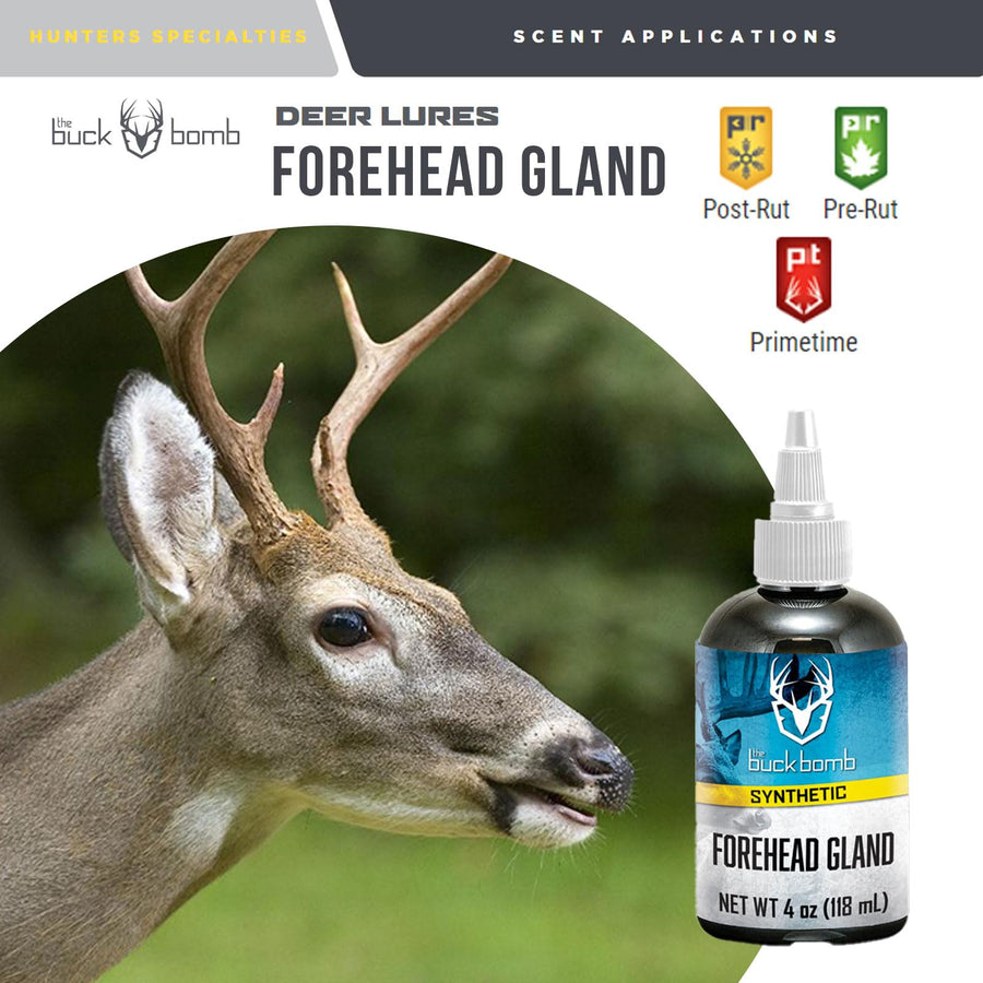 Buck Bomb Hunters Specialties Synthetic Forehead Gland Liquid Scent w/Wicks | Deer Buck Lure Hunting Primetime Post/Pre-Rut Scent Attractant for Hunting, 4 Oz (118 ml.)