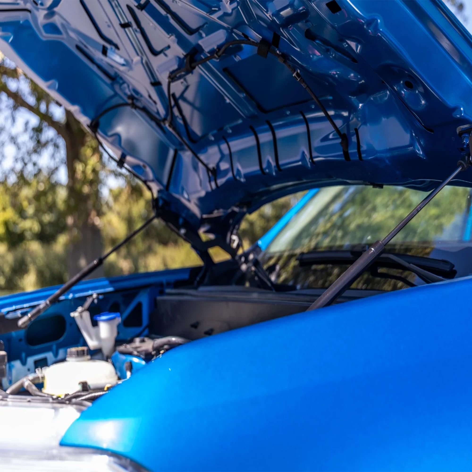 Hydraulic Hood Assist Rough Country for Ford Maverick (2022-2025) - Hands-Free Lift, Easy Bolt-on Hood Struts (Pair)