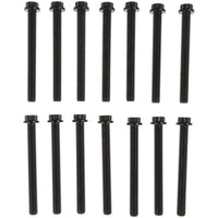 GS33648 Mahle Cylinder Head Bolts