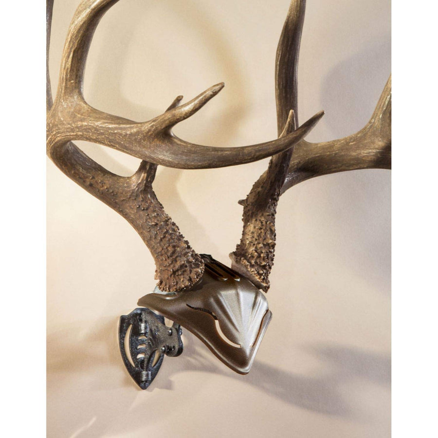 Skull Hooker European Trophy Mount Bone Bracket with Skull Cap Included – Perfect Kit for Hanging and Mounting Capped Skulls for Display, Graphite Black, One Size (SKH-BB-SC-Assy)