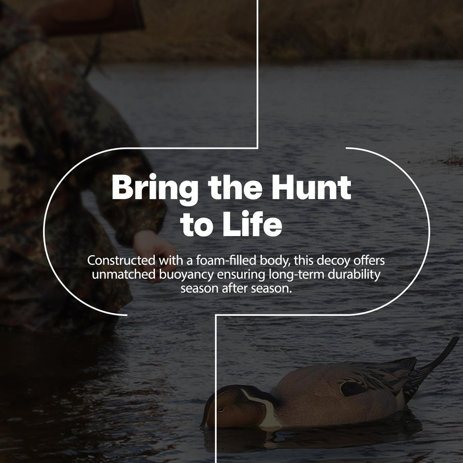 Avian-X Power Shaker Motion Pintail Duck Decoy Floating Surface Feeder for Hunting with Shaker Module Foam Filled Body, Multicolor