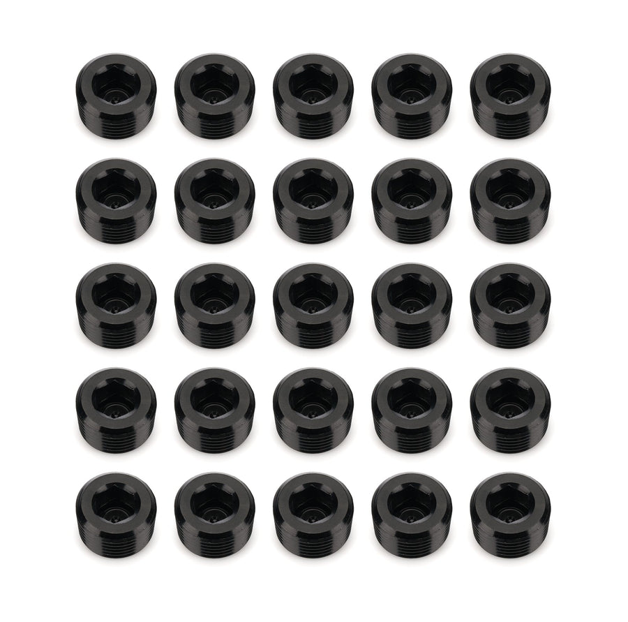 932 Series RHP NPT Socket Head Pipe Plug Kit - 932-06-25-2