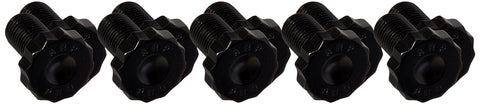 230-3002 ARP Ring Gear Bolt Kit
