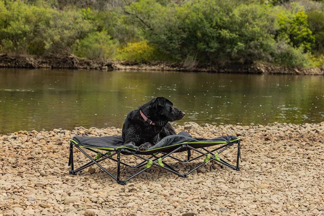 Quick Fold IM4x4 Dog Bed with Padded Mat (XL)