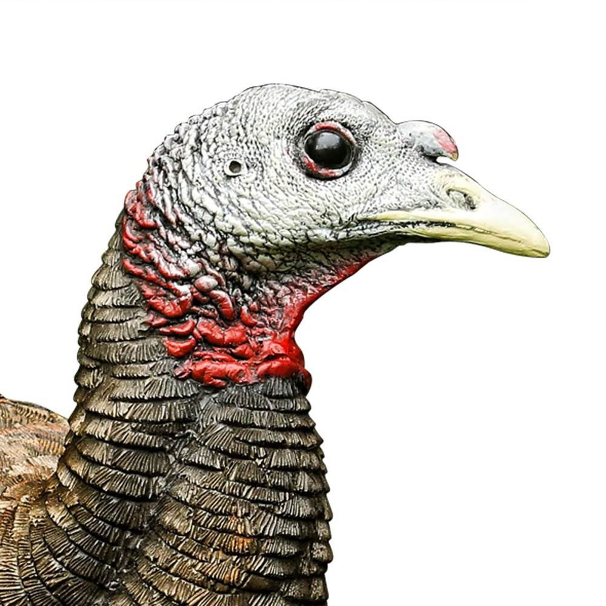 AVIAN-X LCD Turkey Breeder Hen Decoy | Durable Realistic Lifelike Collapsible Standing Hunting Decoy with Carry Bag & Stake, AVX8008