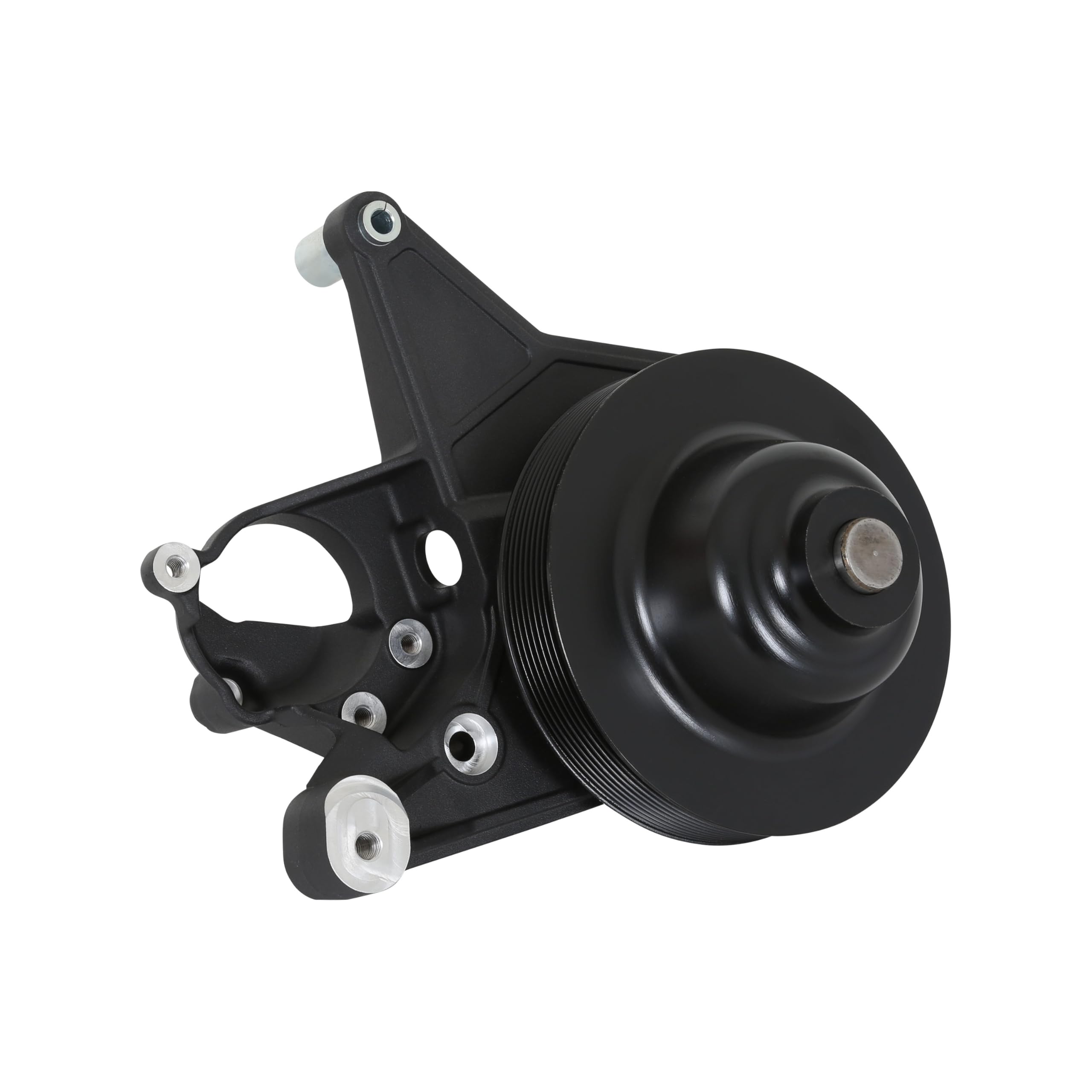 20-223 Holley Power Steering Add-on System for LT4
