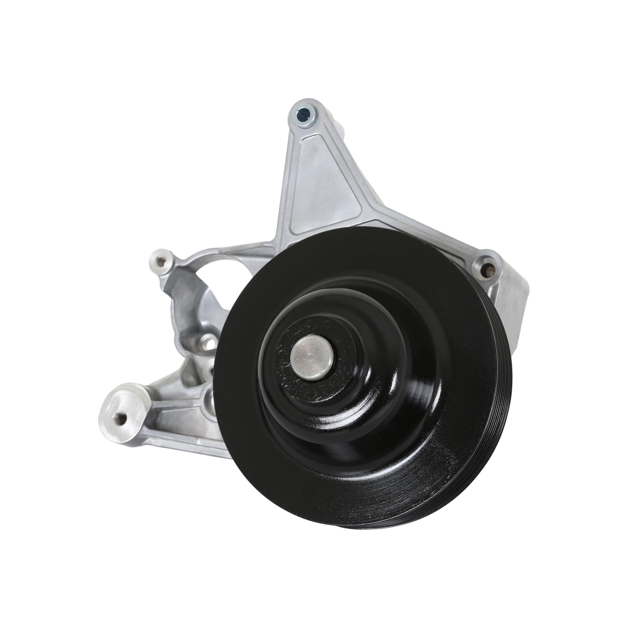 Holley Power Steering 20-222 Add-on System for LT4 - Natural