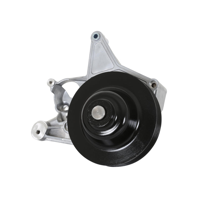 Holley Power Steering 20-222 Add-on System for LT4 - Natural