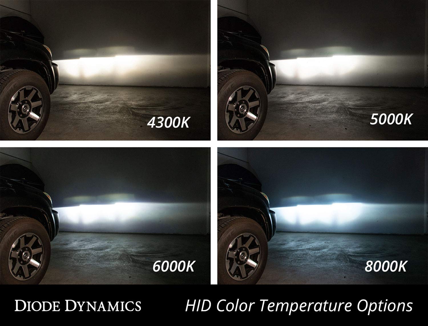 D2R HID Bulbs Replacement Diode Dynamics (pair), 4300K
