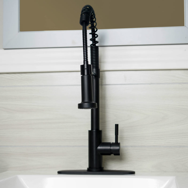 Kitchen Sink Faucet Empire Faucet - Black Brushed Nickel Pull Down Sprayer and Optional Deck Plate