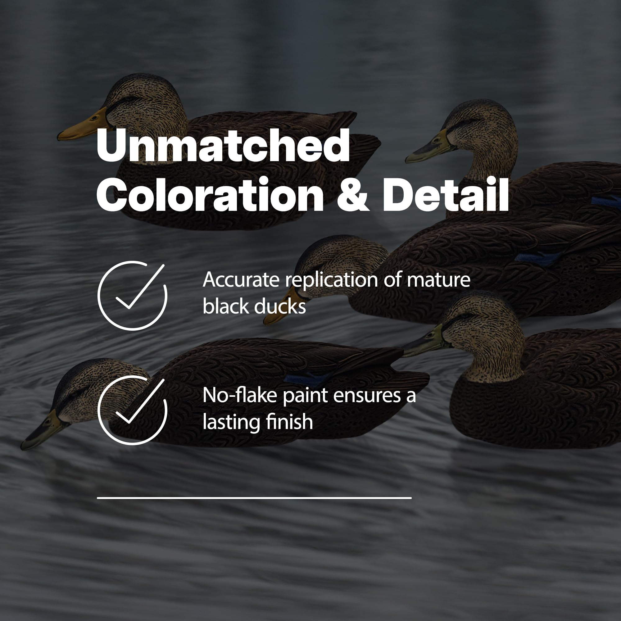 Black Duck Decoys Topflight: Realistic, Durable, and Motion-Activated Flocking (6 True-to-Life Postures)