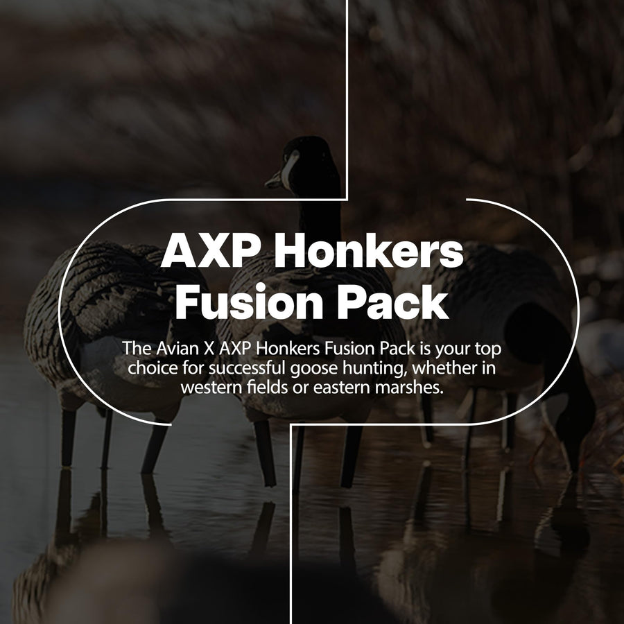 Avian X AXP Fusion Pack Honkers Full Body Canada Goose Decoys with Ultra Realistic Paint, Flocked Heads, 1 Sentry, 2 Walkers, and 3 Feeders