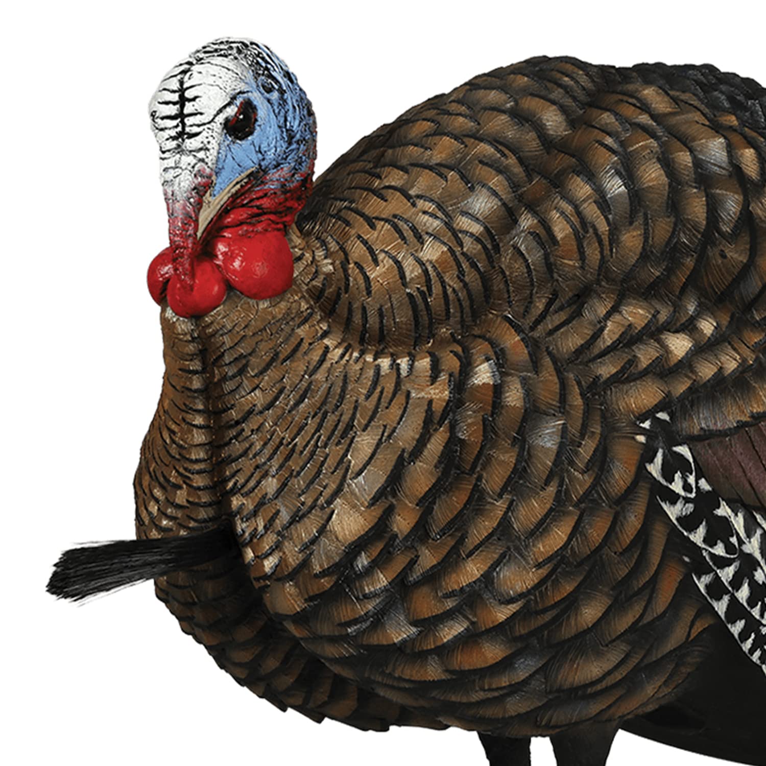 LCD Avian X 1/2 Strut Jake Turkey Decoy