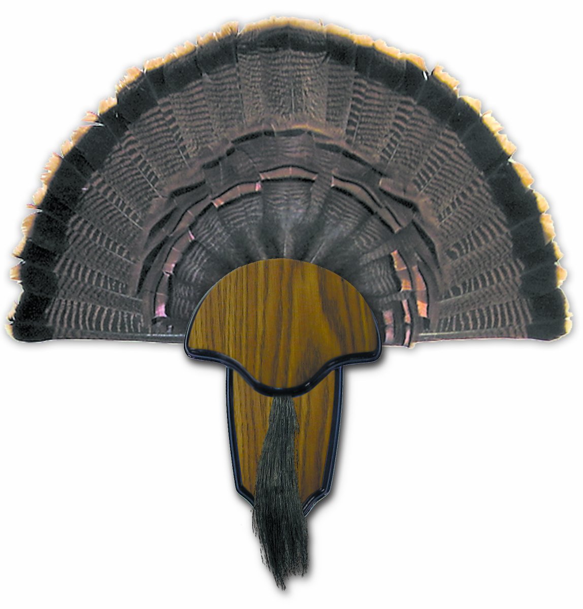 Turkey Tail & Beard Mounting Kit HUNTERS SPECIALTIES - Durable Easy To Assemble Trophy Mount Kit With Hardware Included