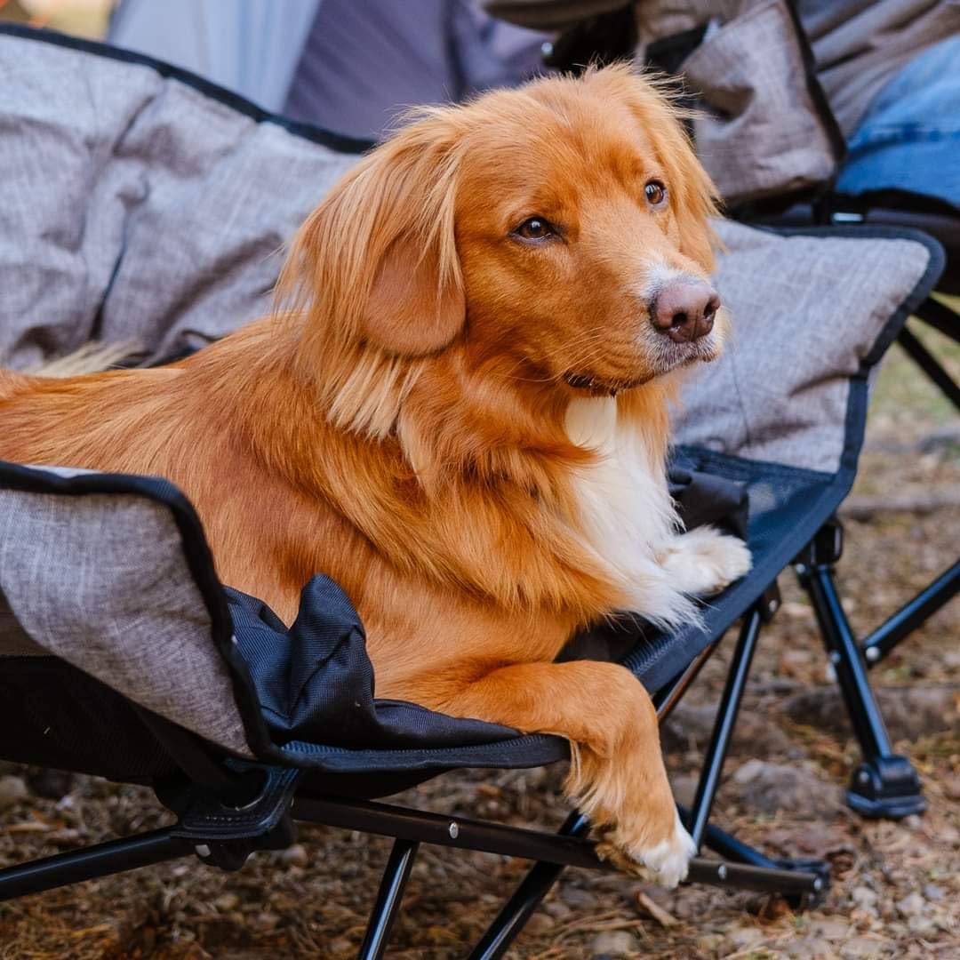 Kuma Lazy Bear Outdoor Gear Dog Bed with Carry Bag, Ultimate Portable Luxury Outdoor Dog Bed for Camping, Glamping & Outdoor Adventures (Heather Grey)