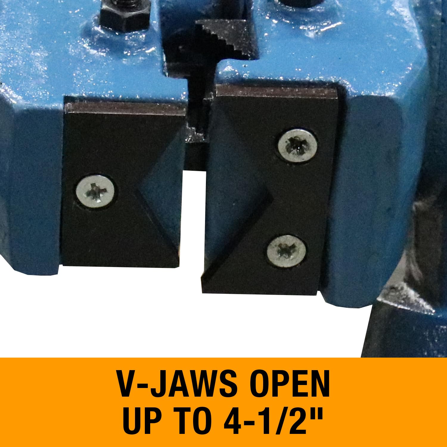 Rotating Head Baileigh Bench Vise, 5-1/8" Jaw Width, 4" Jaw Opening (BV-5P)