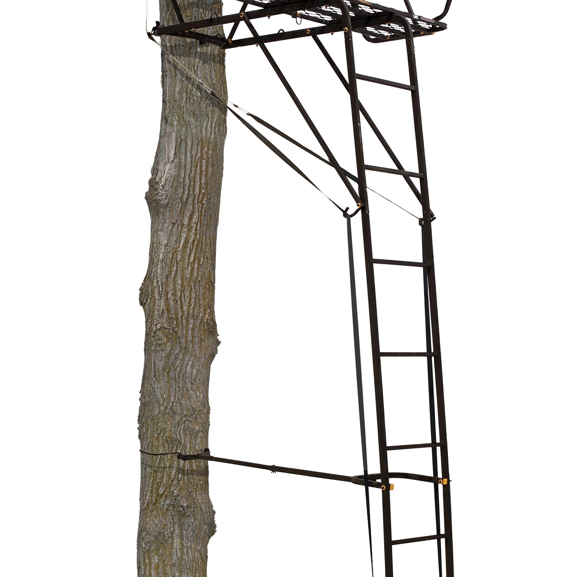 Muddy 2.5 Boss Stronghold Deer Hunting 18 Foot 2 Person Ladderstand Tree Stand with Lumbar Seat and Expanded D Force Metal Platform