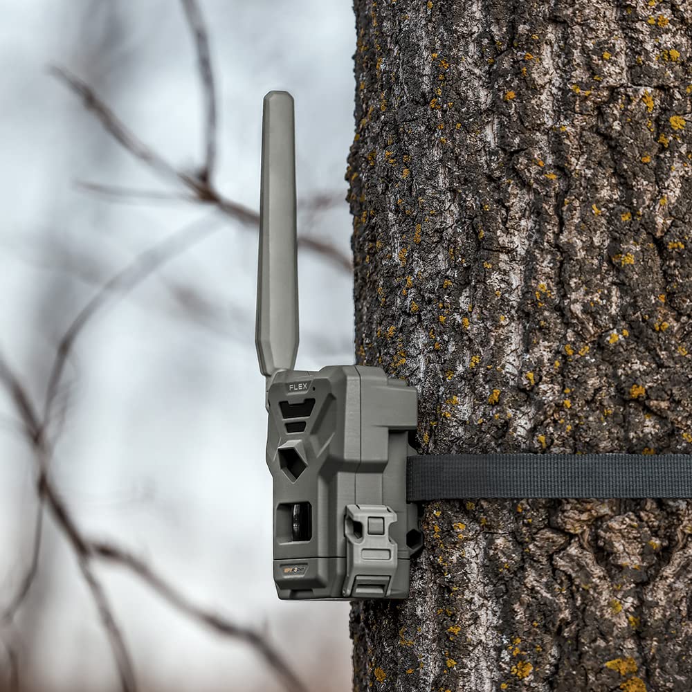 SPYPOINT Flex Trail Camera Cellular - Dual-Sim LTE,1080p Videos, 33MP Photos,Night Vision 4 LED Infrared Flash, 100'Detection Range,0.3S Trigger Speed,GPS Enabled,Cell Cameras for Hunting-for USA only