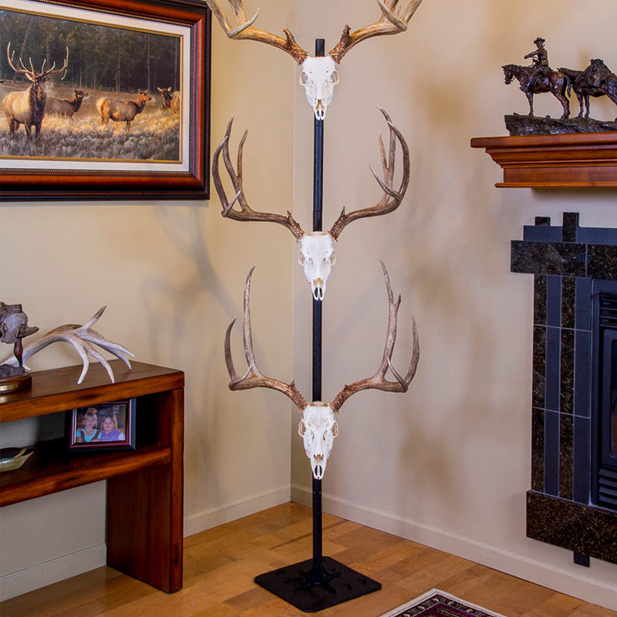 Skull Hooker European Trophy Mount Trophy Tree – Hang up to 5 Taxidermy Deer Antlers and other Skulls for Display – Graphite Black