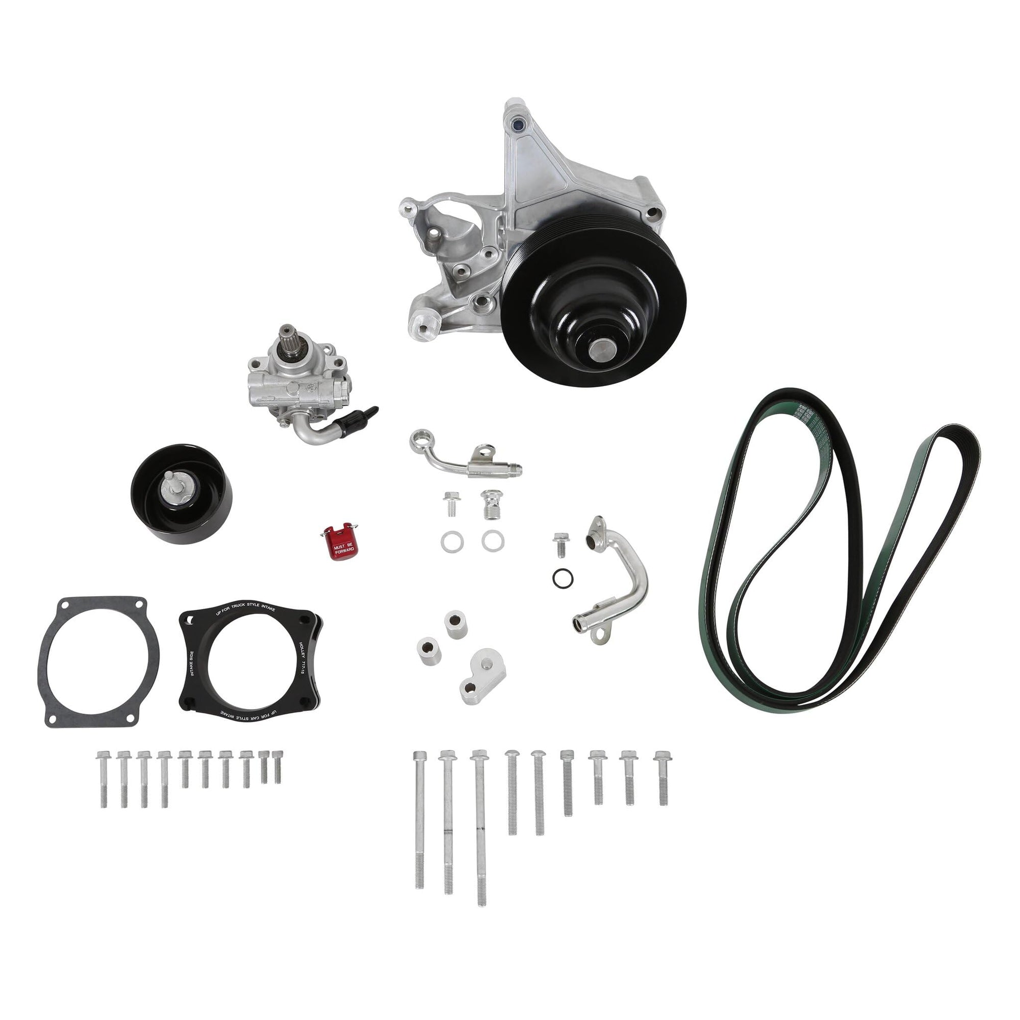 Holley Power Steering 20-222 Add-on System for LT4 - Natural