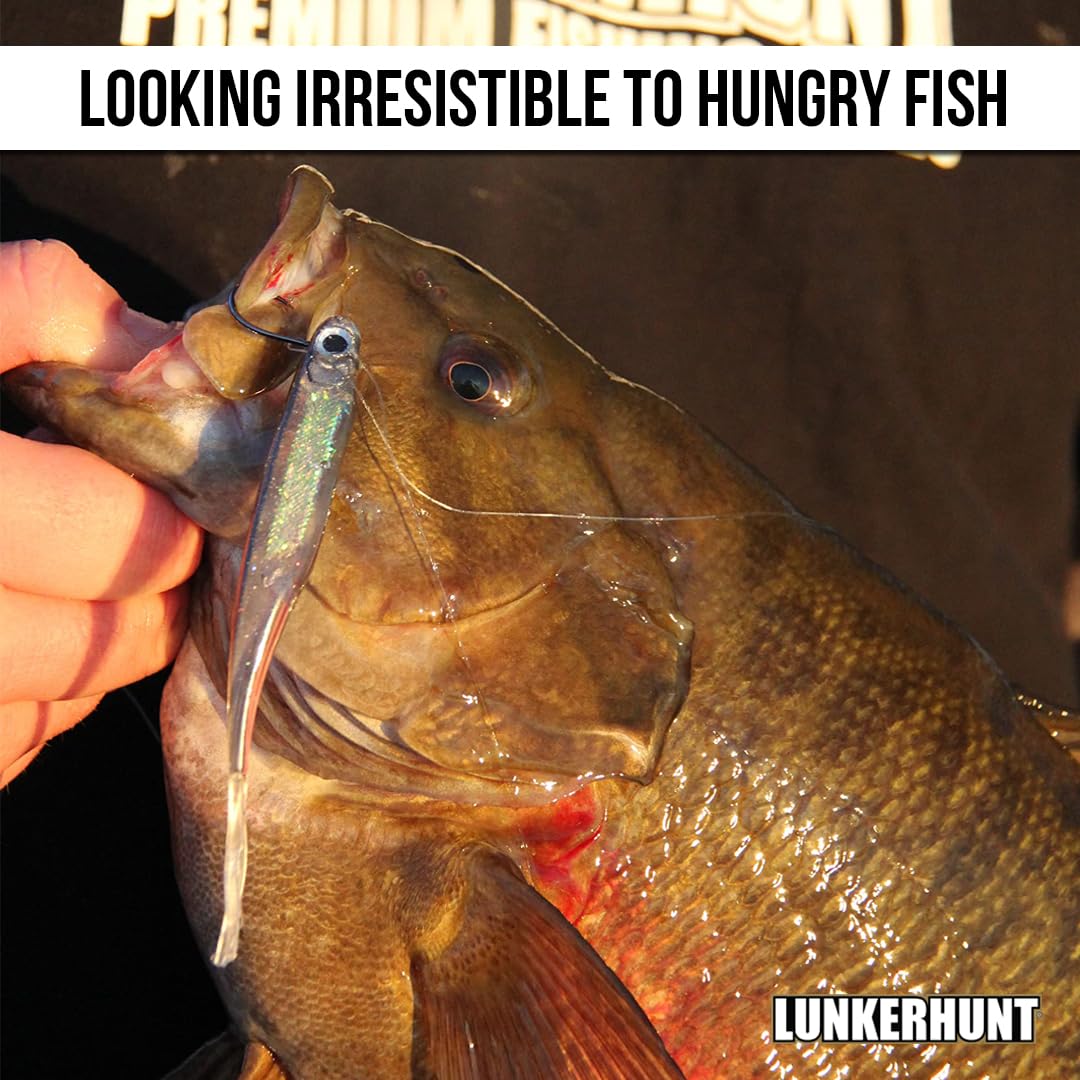 Bento Bait Lunkerhunt Fishing Lure (6 Pieces)| Each 3-Inch, Dace Color | Life-Like Saltwater and Freshwater Fish Baits, Award Winning, Soft Body for Bass Trout Fishing