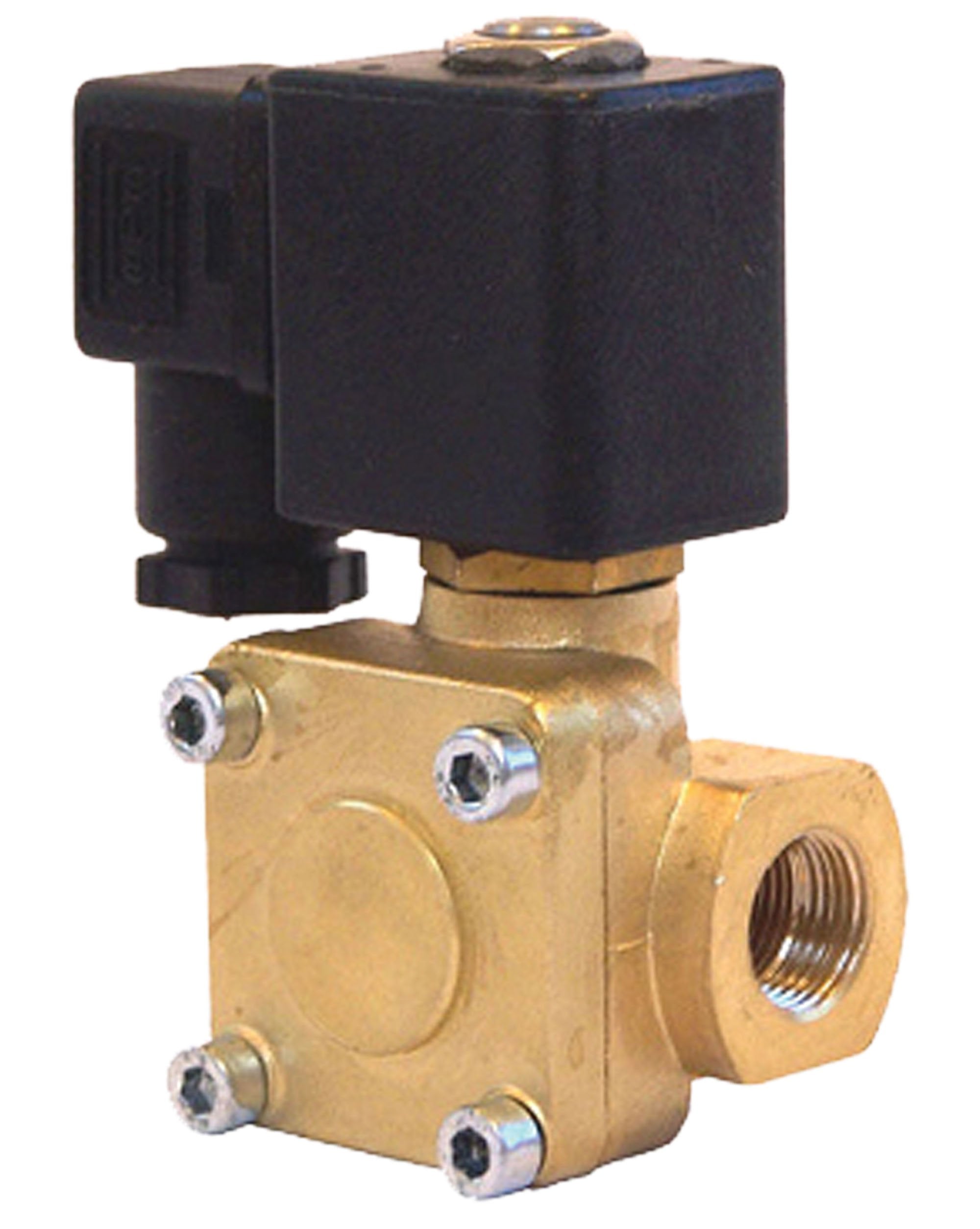 Kleinn VX6003 Air Horns Vortex 6 3/8" 12V Brass Valve