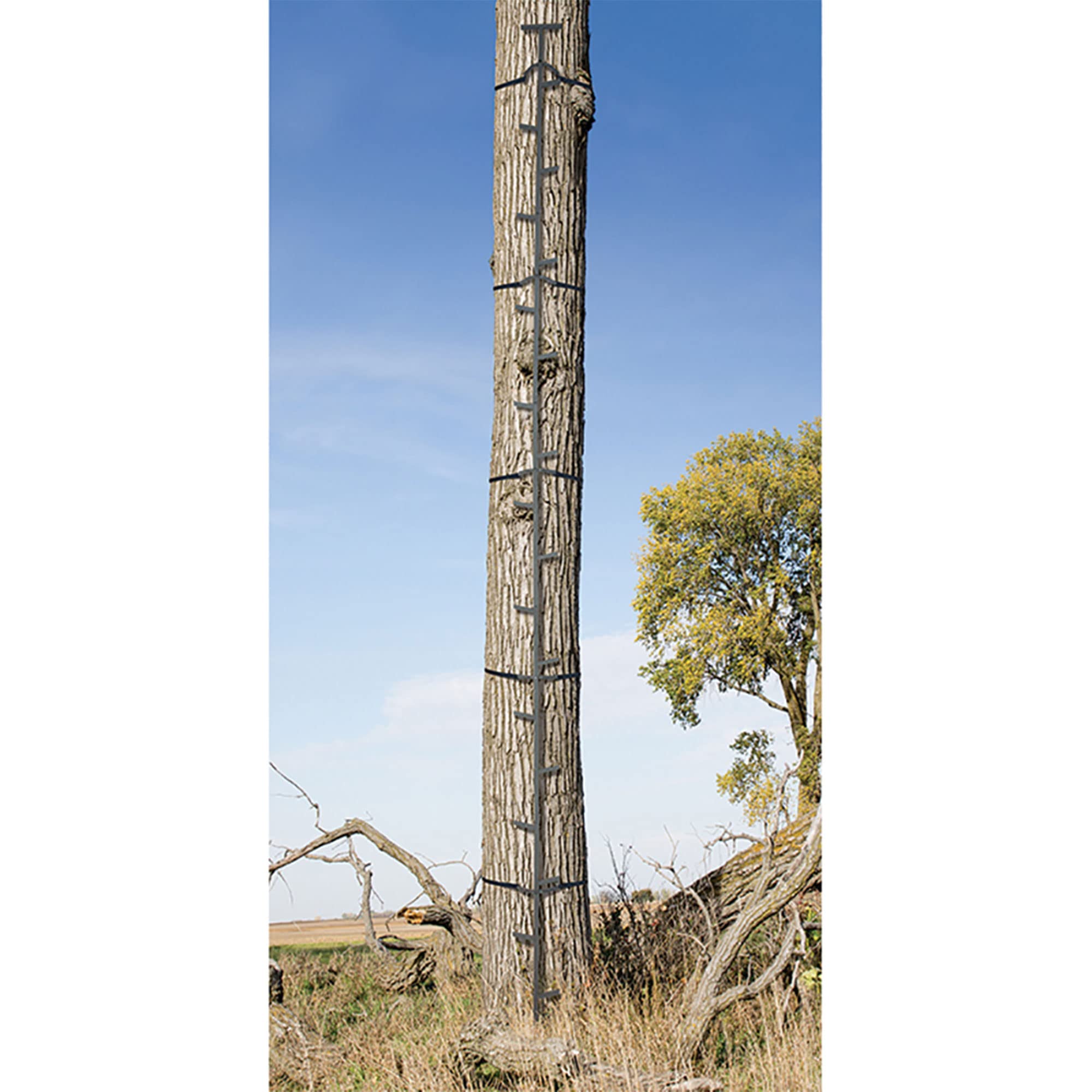 Big Game Climbing Ladder Sticks, Quick-Stick Tree Stand and Hunting Gear System, 20’ - Portable Safety Accessories and Equipment for Mobile Deer Hunters, Climbers, and Shooters