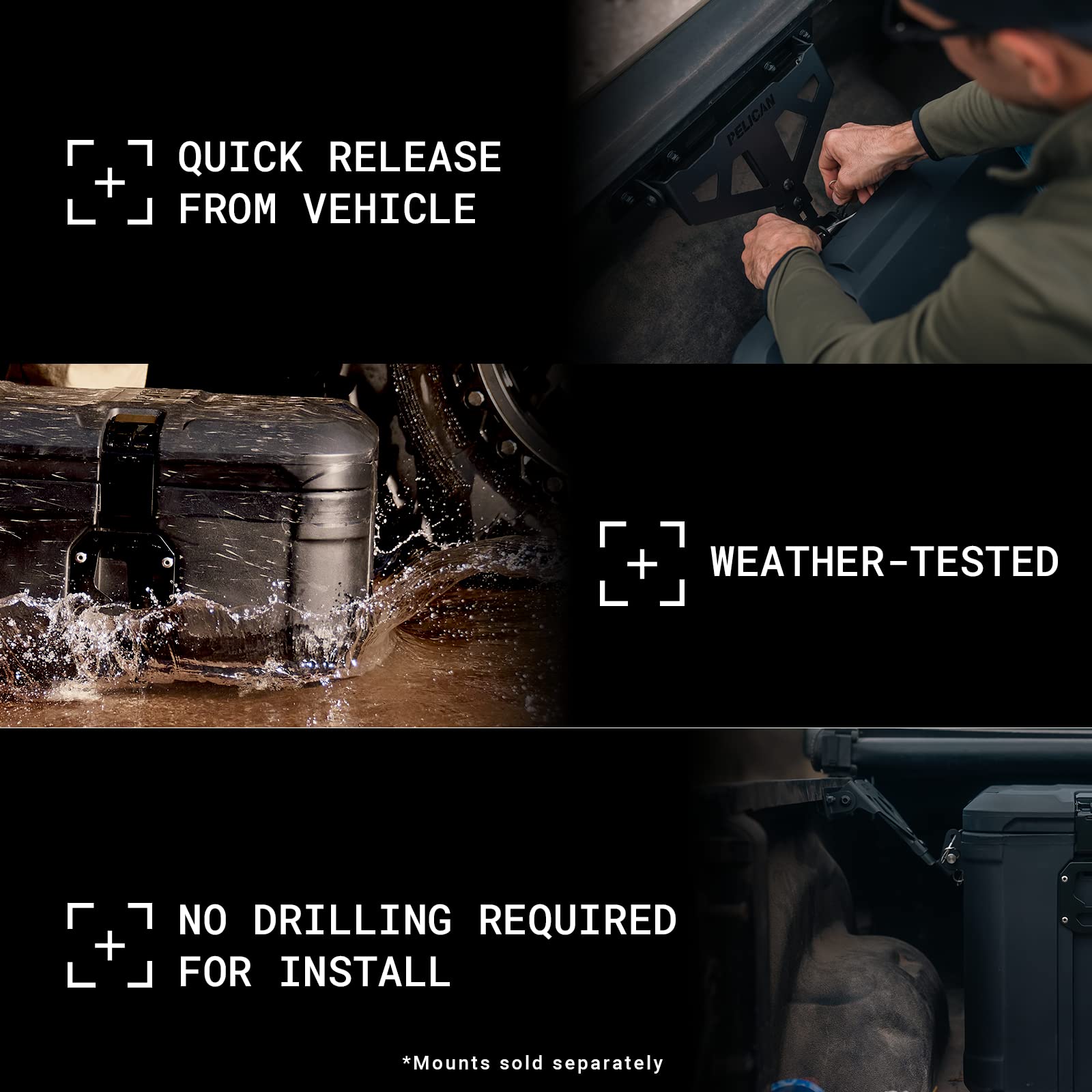 Cargo Case Pelican BX50 (Black)