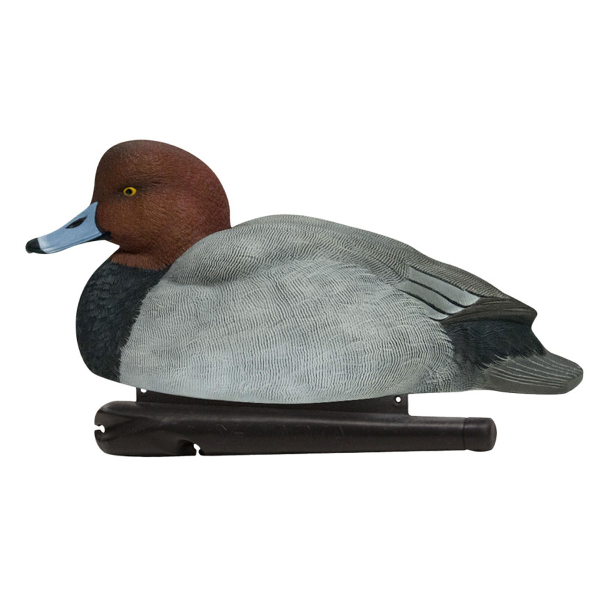Avian-X Canvasback Magnum Decoys, Open Water, Realistic Design, Weight Forward Swim Keel, Rugged with No Flake Paint Finish, True to Life Postures