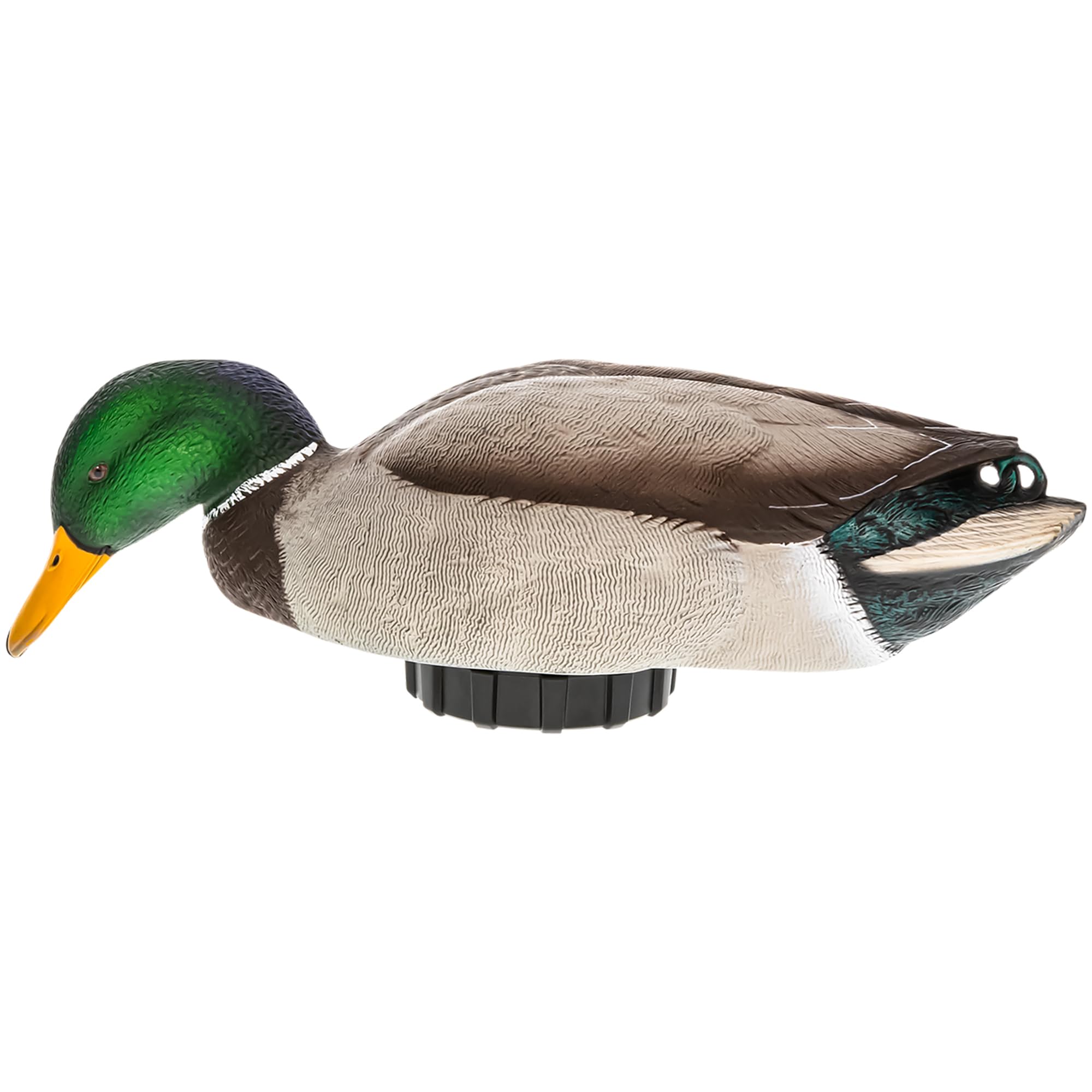 Avian-X Power Shaker Mallard Drake Duck Decoy Floating Surface Feeder for Hunting with Shaker Module Foam Filled Body, Multicolor