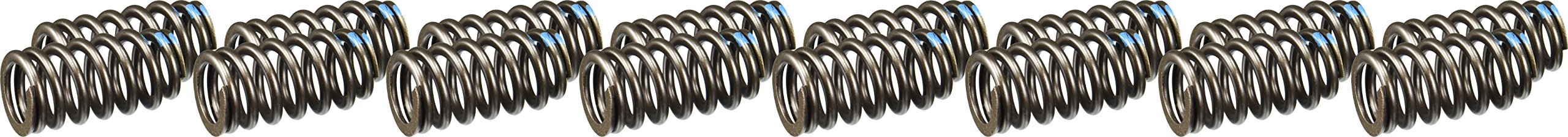 Ford Racing M-6513-M50BR Valve Spring Kit for Boss 302R Ford Mustang 5.0L Engine
