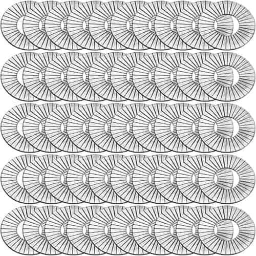 02231-50 Manley Valve Springs