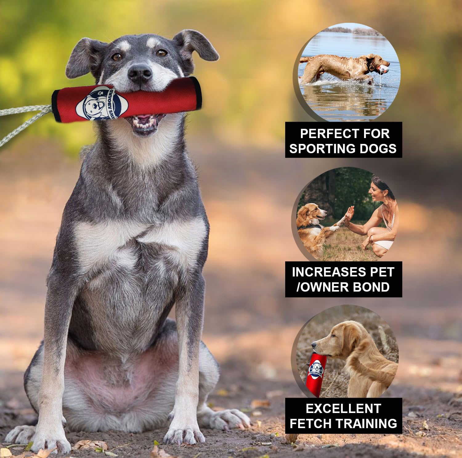 2300 Paws Aboard Training Dummy Toy - Floating Pool Toy, Dog Fetch Accessory, Fun Outdoor Training Tool with Tug Rope, Summer Essential, Suitable for Small, Medium, and Large Dogs