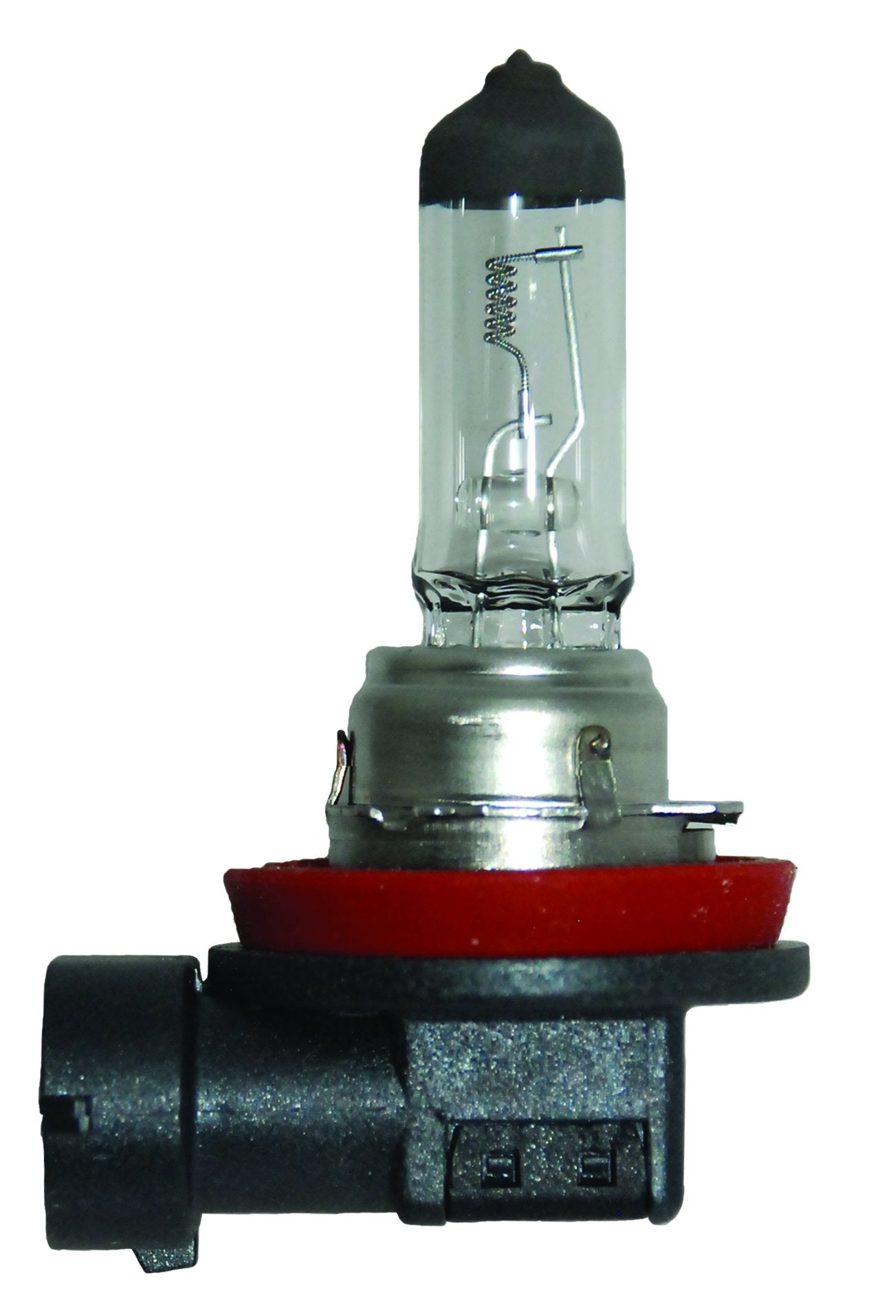 HELLA 24V H11 Standard Halogen Bulb, 70W