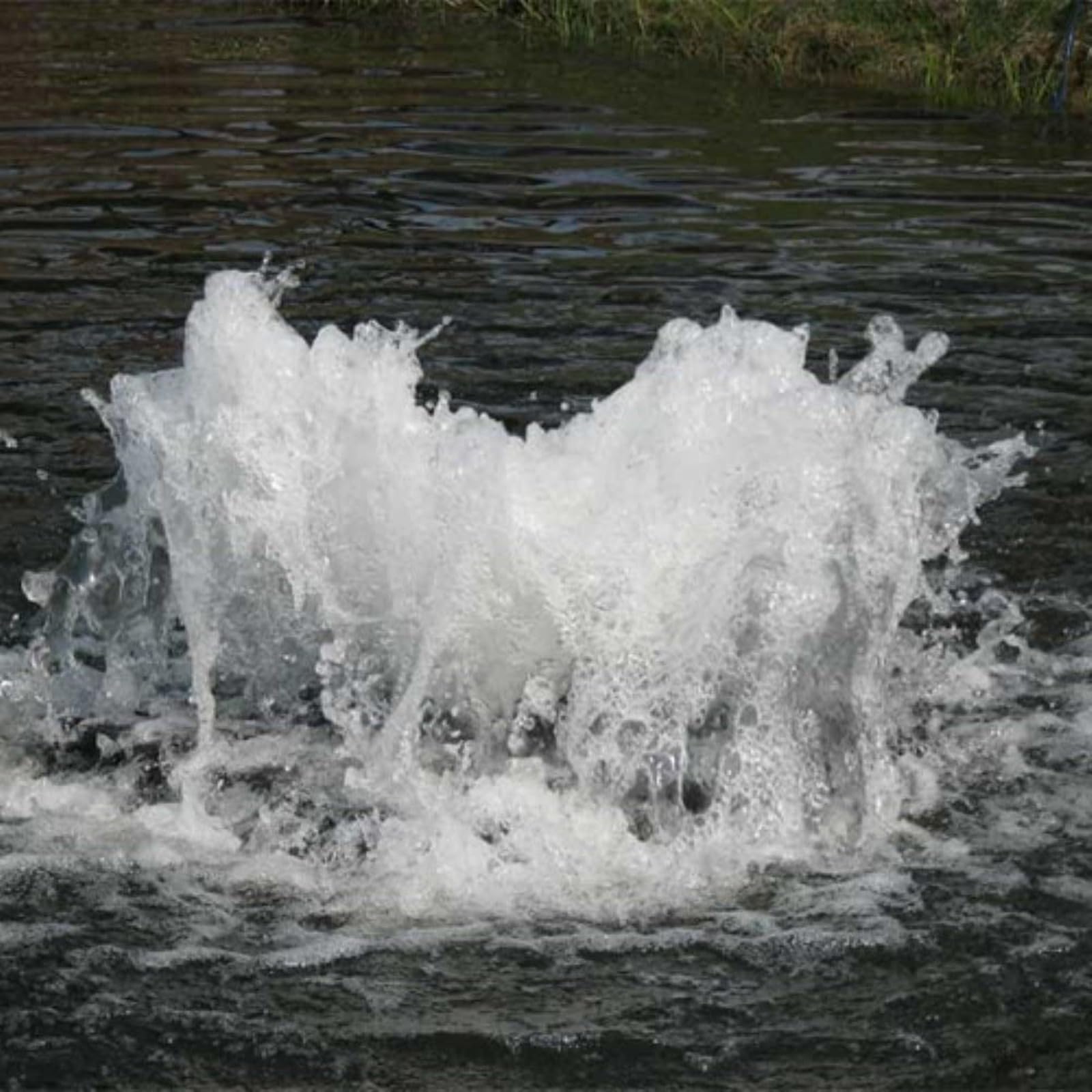 Boilermaker Scott Aerator Pond Aerator - 1 HP 230V Surface Aerator with 70ft Electric Cord - Low Profile High Volume Pond Aerator for Small & Large Ponds - Efficient Pond Aeration System