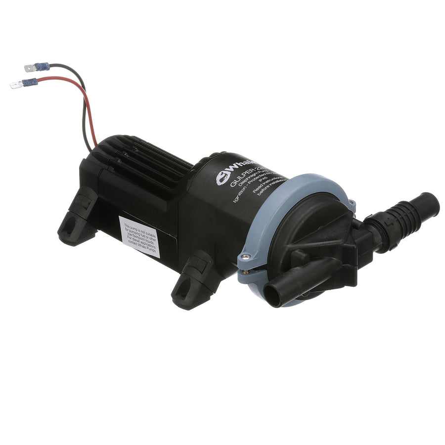 Whale Gulper 220 Pump BP1552, Manages Gray Waste, 3.5 GPM Flow Rate, 12V DC, ¾-Inch Hose Connections, Black