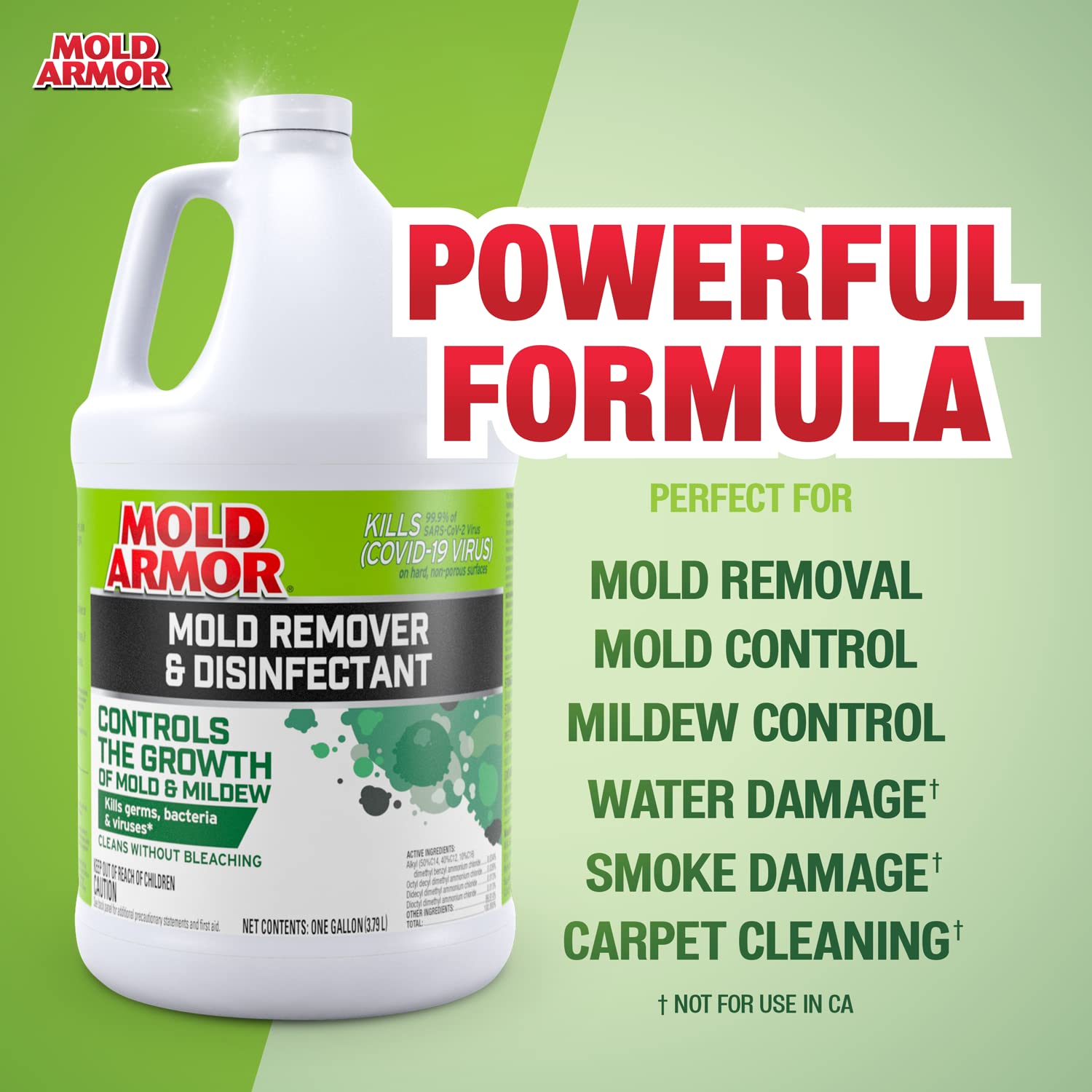 MOLD ARMOR Mold Remover/Disinfectant FG550, 1 Gallon