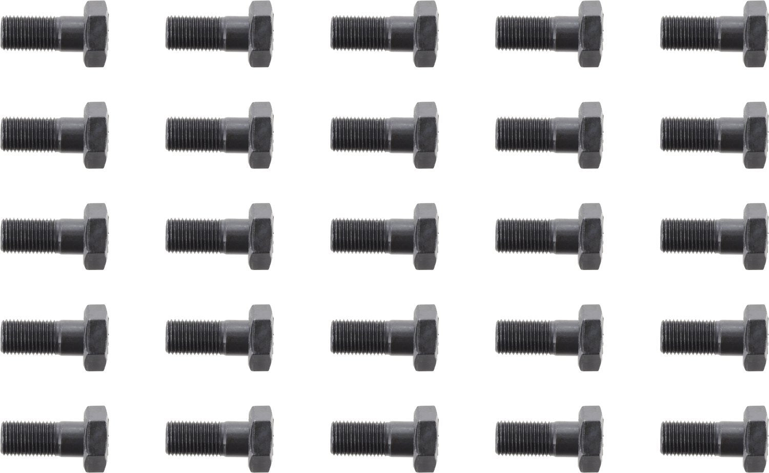 Ring Spicer Gear Bolt 40638