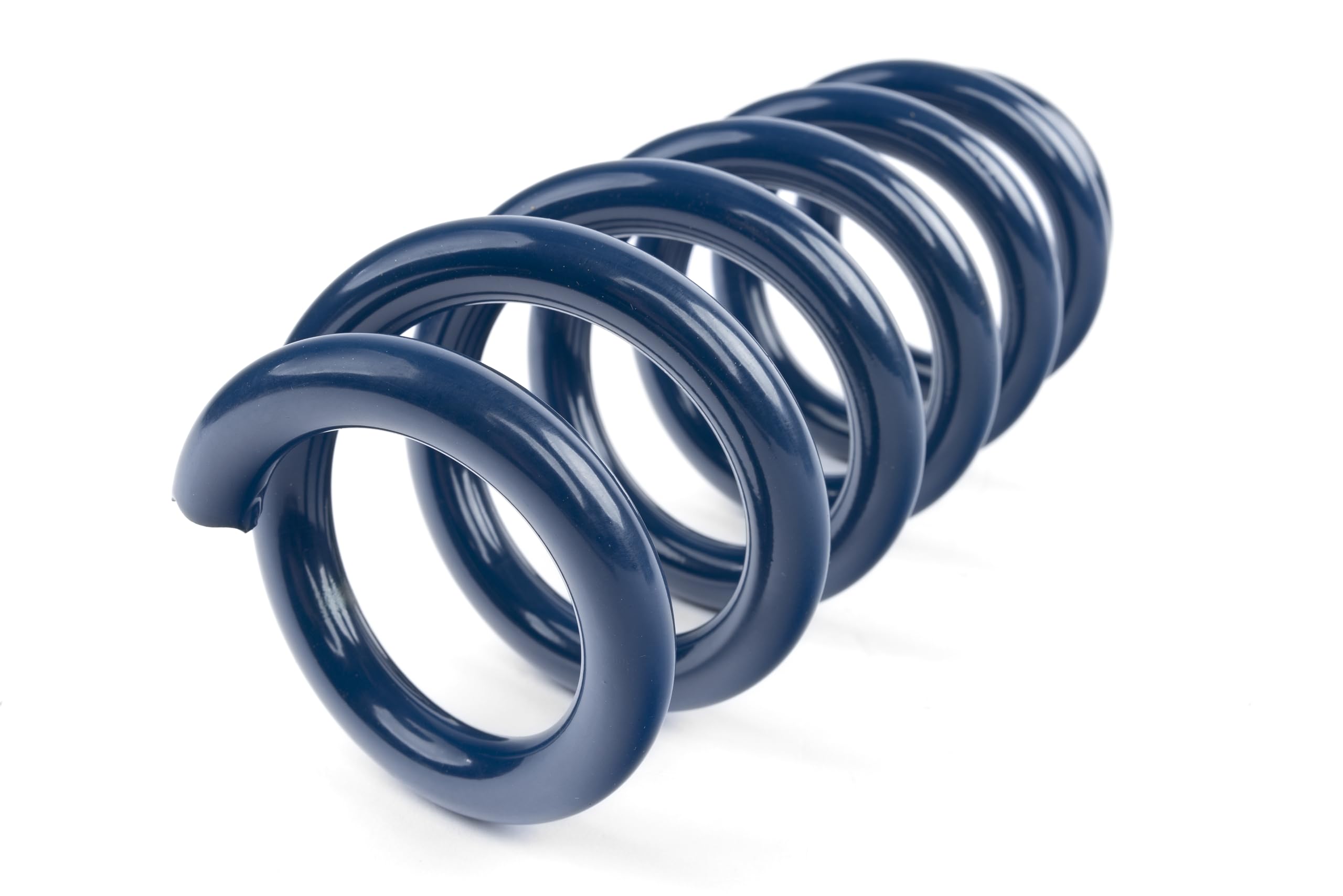 Dinan Performance D100-0938 Coil Spring Set